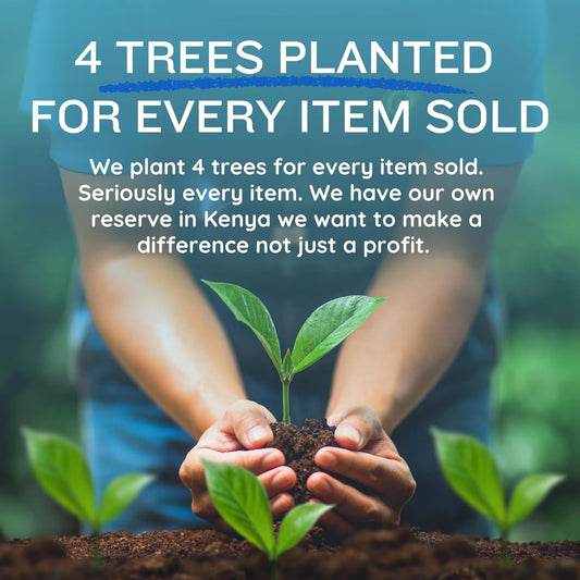 Picnic Blankets - YCD061